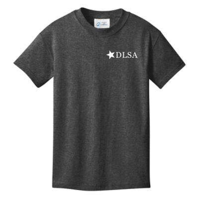 DLSA-TEE Thumbnail